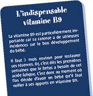 carte vitamine B9